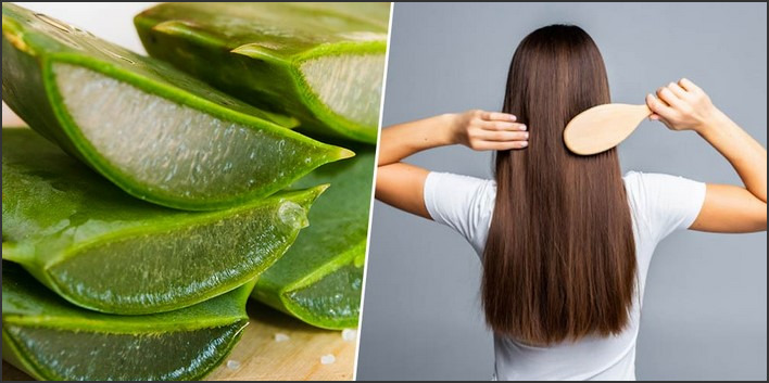 Aloe Vera Juice for Hair: Benefits and Tips for Hair Health and Growth