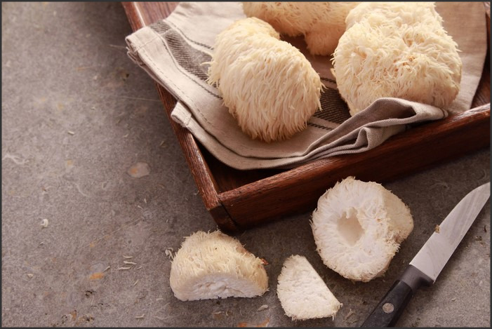 Lion’s Mane Mushroom Health Benefits: A Look at the Medicinal Fungus